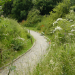 Chemin fleuri dans le Kent