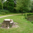 Souche d'arbre transformée en mobilier à Senlis