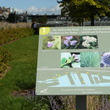 Panneau d’information sur la biodiversité à Montréal