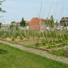 Jardins potager à Roubaix