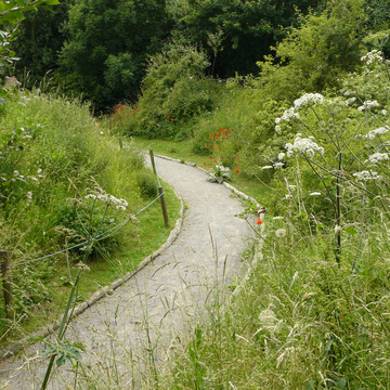 Chemin fleuri dans le Kent