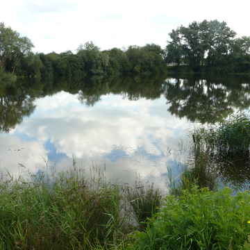 Plan d’eau à Marck