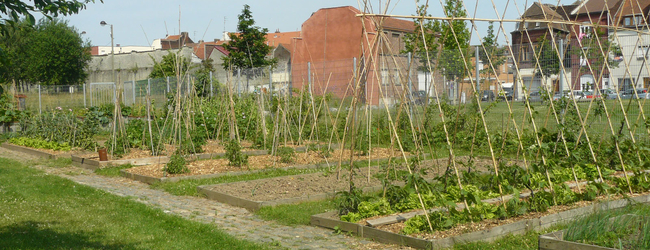 Jardins potager à Roubaix