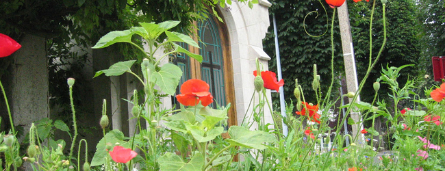 Prairie fleurie en ville Prairie fleurie en ville