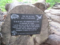 Panneau de sensibilisation sur le bois mort à Lille