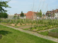 Jardins potager à Roubaix
