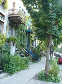 Rue végétalisée à Montréal