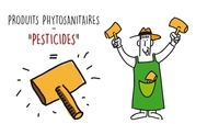 Comment se protéger des pesticides ? Thumbnail