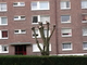Taille drastique d’arbres Taille drastique d’arbres