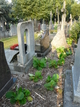 Cimetière végétalisé à Lille