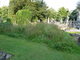 Cimetière végétalisé à Lille Cimetière végétalisé à Lille