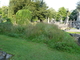 Cimetière végétalisé à Lille