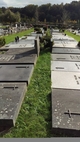 Cimetière végétalisé à Bruxelles