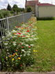 Jardin des simples à Beauvais