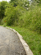 Chemin en gestion différenciée dans le Kent Chemin en gestion différenciée dans le Kent