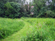 Chemin dans pelouse haute Chemin dans pelouse haute