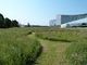 Chemin dans prairie Chemin dans prairie