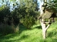 Jardin naturel Jardin naturel