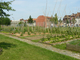 Jardins potager à Roubaix Jardins potager à Roubaix