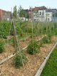 Jardins potager à Roubaix Jardins potager à Roubaix