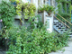 Jardin privé sauvage à Montréal Jardin privé sauvage à Montréal