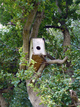 Nichoir dans un arbre Nichoir dans un arbre