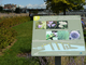 Panneau d’information sur la biodiversité à Montréal Panneau d’information sur la biodiversité à Montréal