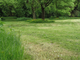 Pieds d’arbres en gestion différenciée dans un parc urbain Pieds d’arbres en gestion différenciée dans un parc urbain