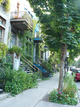Rue végétalisée à Montréal Rue végétalisée à Montréal