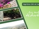 Espaces verts : les techniques du désherbage alternatif Thumbnail